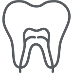 Root Canals